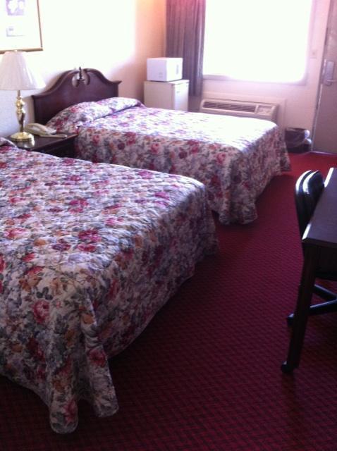 نيوبورت نيوز Midtown Motel الغرفة الصورة